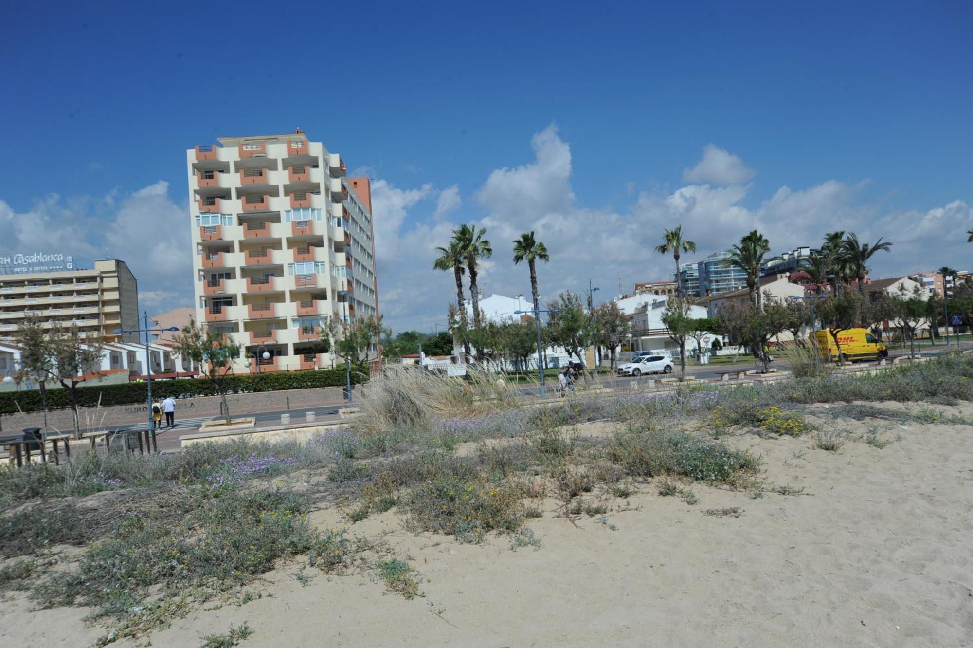 Apartamento Europeñiscola Orange Costa Exterior foto